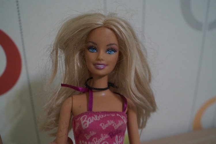 Четвёртая выписка декабря. Лечение тазобедренных суставов Барби. Четверо новогодних героев поправили своё здоровье.