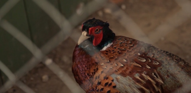 Как мы побывали в Некотором царстве ... с Mui-chan (фото 10)