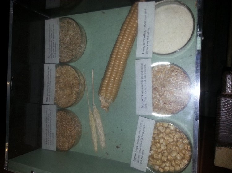 Прокатимся на машине времени? Поселение Старбридж. Новая Англия. 1830 год. Часть вторая