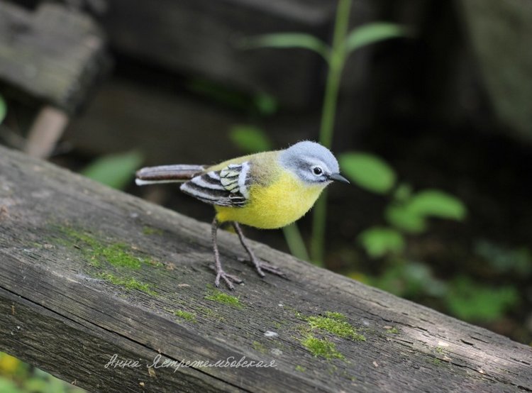 Жёлтая трясогузка — Валяные игрушки из шерсти: сухое валяние