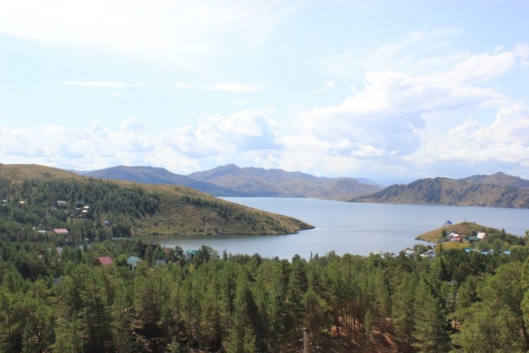 Базовичок обыкновенный. Дикий, но симпатичный | Бэйбики Базовичок обыкновенный. Дикий, но симпатичный (фото 10)