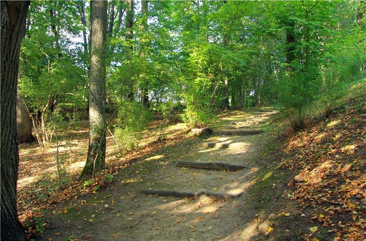 Августовская прогулка в Берново. Zwergnase Mischa