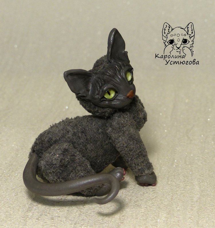 Миниатюрные серые Сфинксы (фото 9)