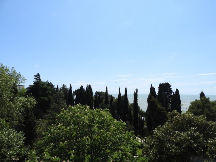 Сочи-Адлер: Южное Взморье - наблюдения за самолетами (фото 5)