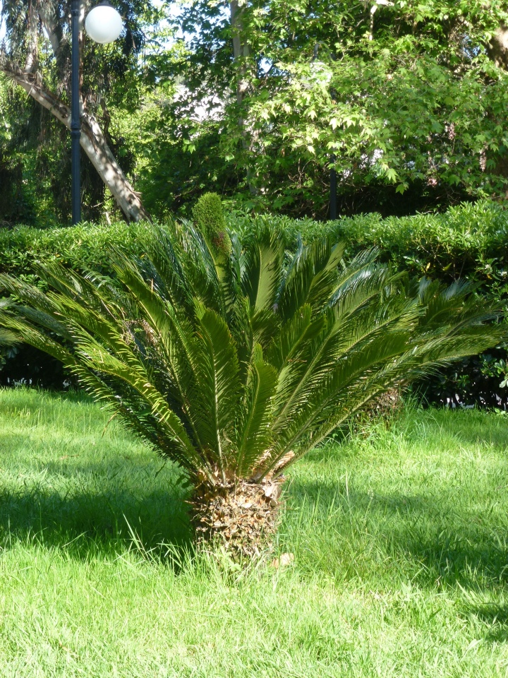 Сочи-Адлер: Южное Взморье - виртуальное путешествие по территории санатория