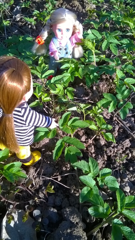 Галинка с Полинкой во саду ли в огороде