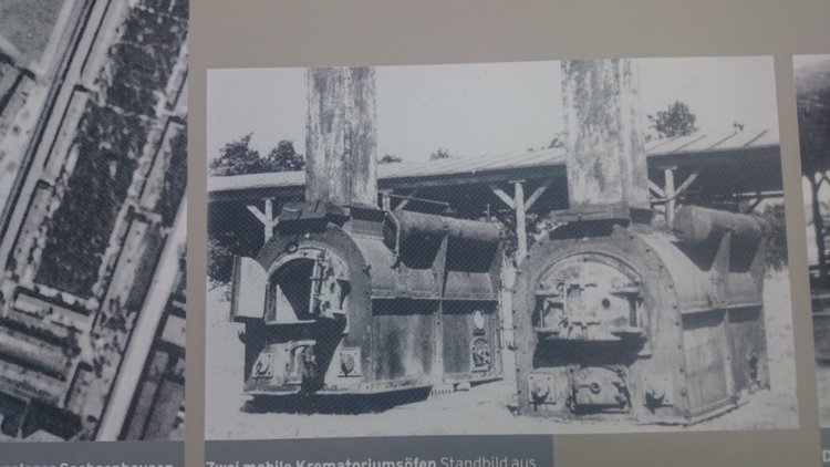 Спасибо Вам за смелость и отвагу, за небо мирное над головой