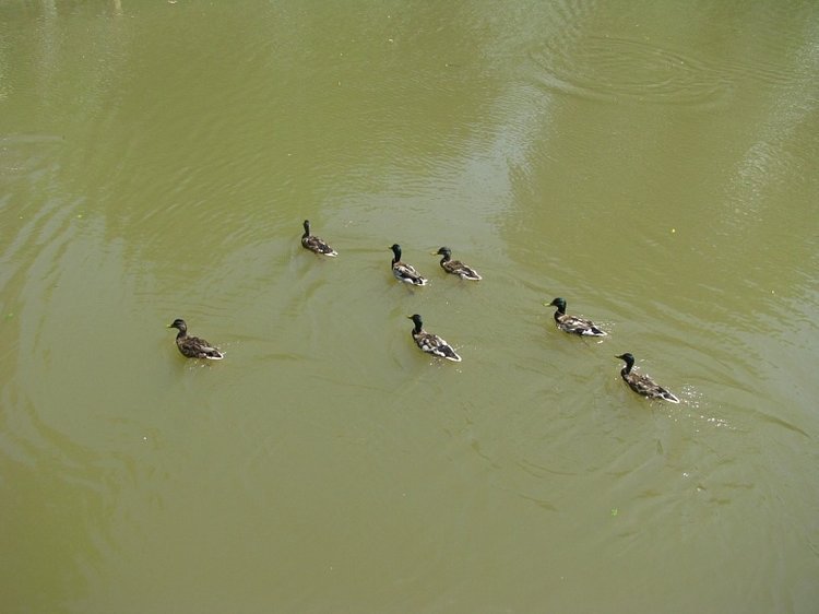 Незабываемая экскурсия по Словении: Постойная Яма и Предъямский замок