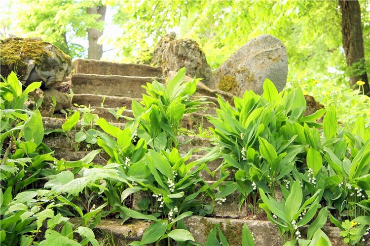 "Троицкие гуляния" в Василёво, 2017 год, продолжение. Архитектурно-этнографический музей под открытым небом "Василёво"