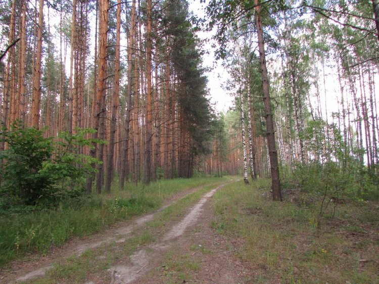 Путешествие в Нижегородскую область - часть 2 - Размещение в деревушке и прогулка по окресностям