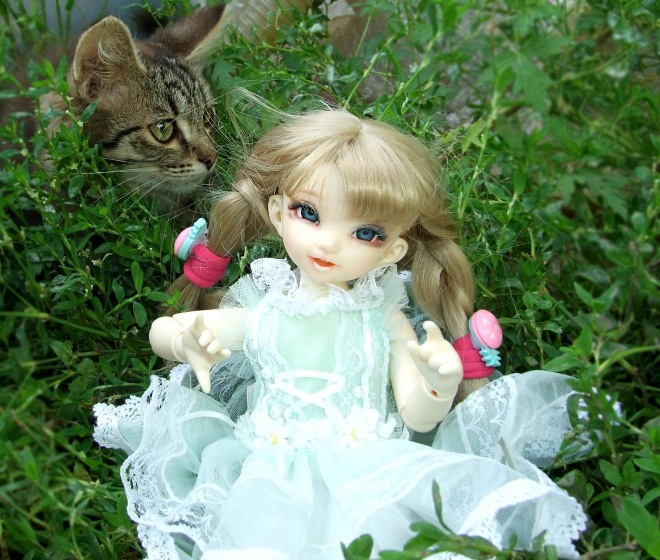 Кролики превращаются... превращаются... А котик улыбается)