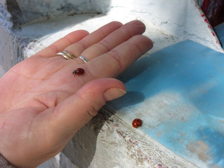 Выходной с Хеленой в Таганроге