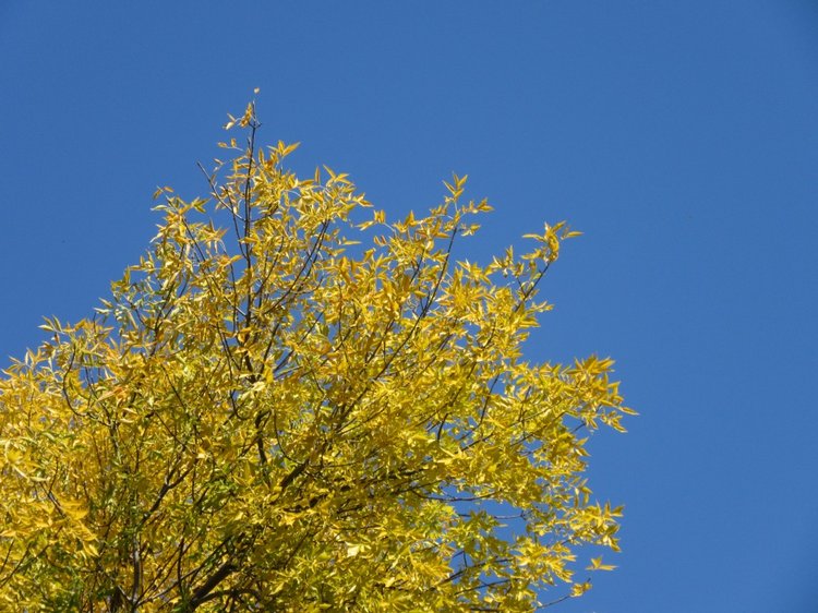 Выходной с Хеленой в Таганроге (фото 2)