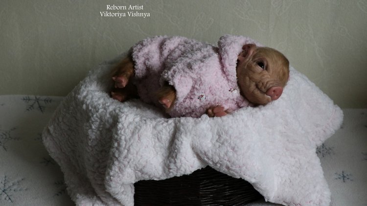 Поросенок Мила... куколка реборн Виктории Вишни