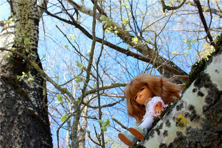 Путешествие Софи в Старицу, продолжение. Lati HoneyBee New Mystic Sophie