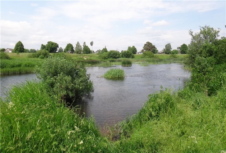 Ромашковый Июнь — Куклы Meadow dolls (Медовушки): BJD (БЖД) (фото 7)