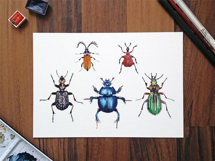 SnailMaidenStudio - Акварельные иллюстрации маленьких живых существ