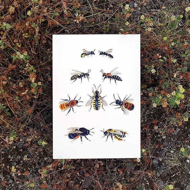 SnailMaidenStudio - Акварельные иллюстрации маленьких живых существ