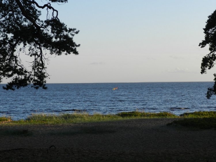 Немного позитива с Финского залива