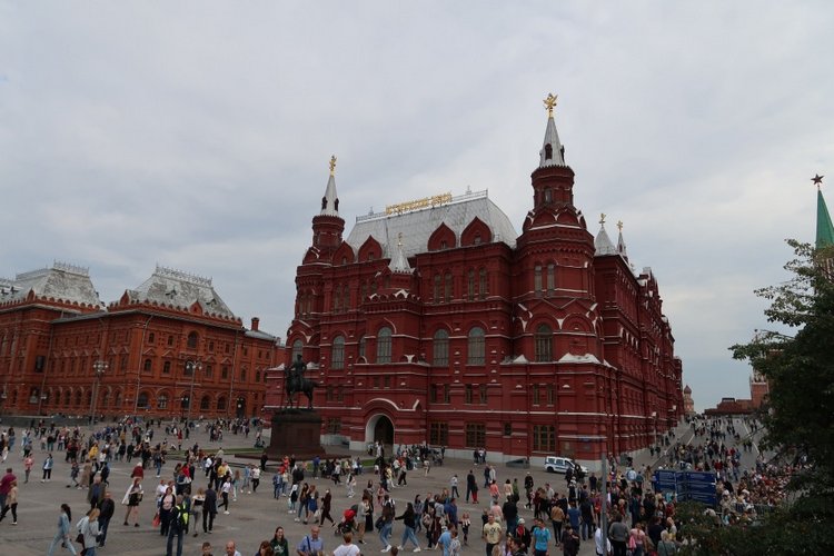 Знакомьтесь, новый вид медведей - медведь сумочный