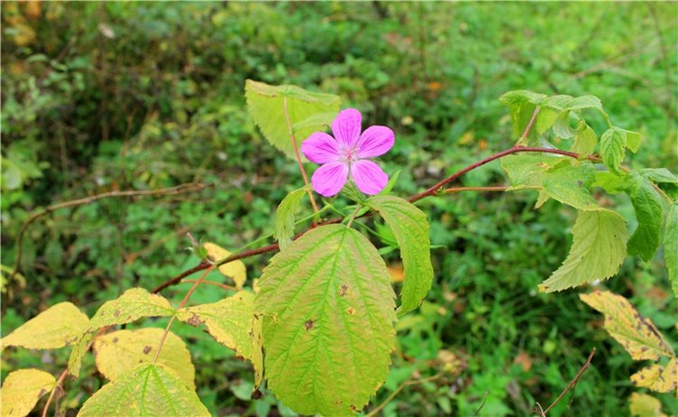 "Бабье Лето" на Водопаде, продолжение (фото 6)