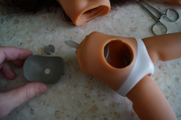 Вы ждали субботу? Заходите в гости! Выписка куколок