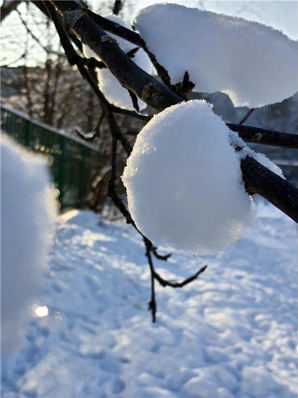 Снежно-Нежно Новогодний — Винтажные куклы ГДР (Немки): Бигги (фото 3)