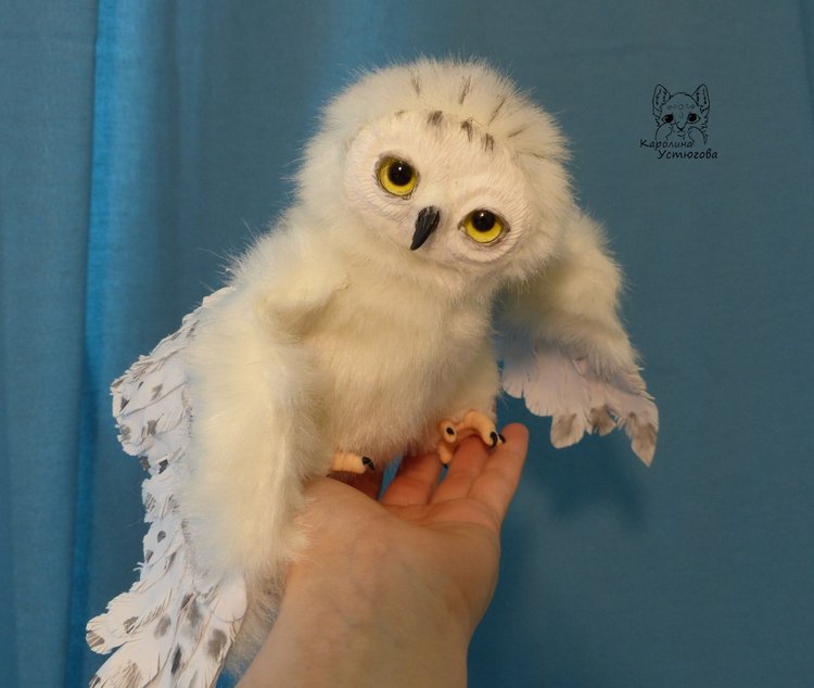 Полярные совы. Стремящиеся в полет