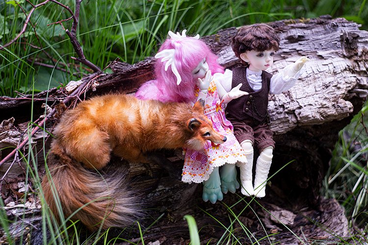 Сказки Волшебного Леса. Часть 1