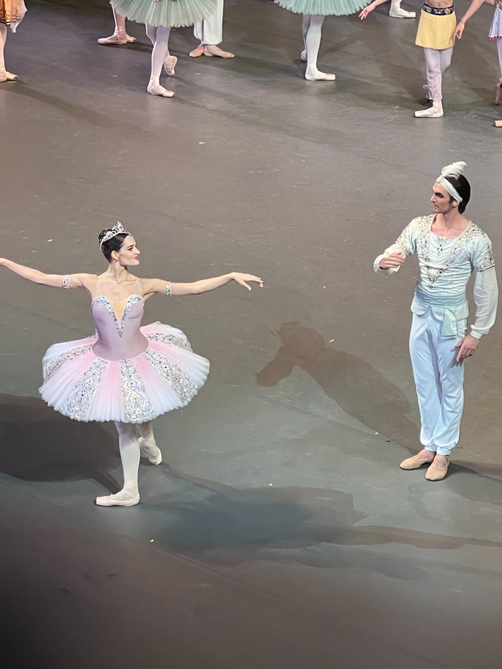 Баядерка. Большой театр — Болталка и разговоры обо всем: жизнь (фото 4)