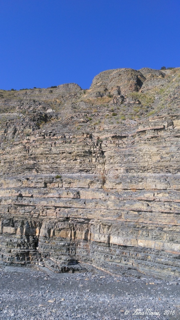 Kidz' тур. Юлино лето — Куклы Kidz'n'Cats (Соня Хартман): шарнирные 46 см