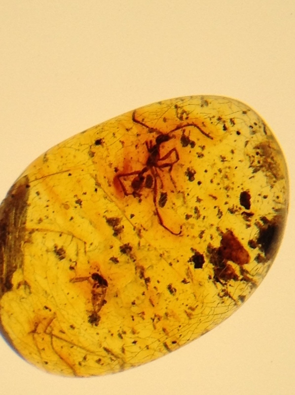 Милая сердцу Божедомка. Ч.5. Выставка "Парк янтарного периода". "Слезы Гелиад". "Янтарь и куклы"