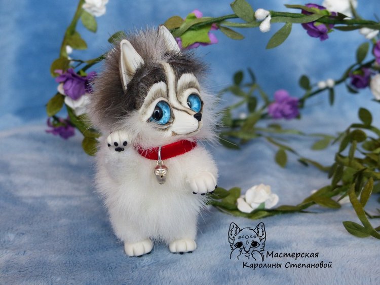 Малыш Хаски, крошка на ладошке. А может Хаски на Аляске? Или Хаски голубые глазки (фото 4)