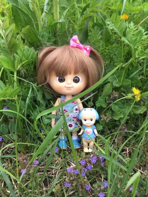 Поездка на дачу с Mui-chan, Migliorati и Sonny angel