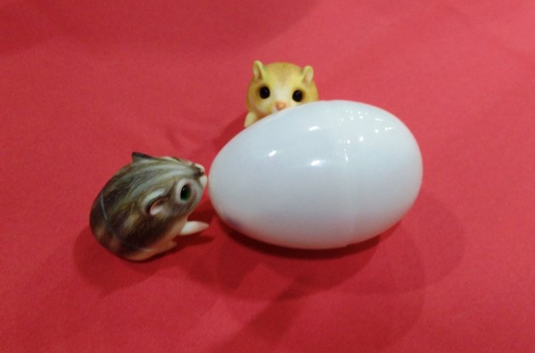 Dollscar by Chinori. Несколько фото для отчетности