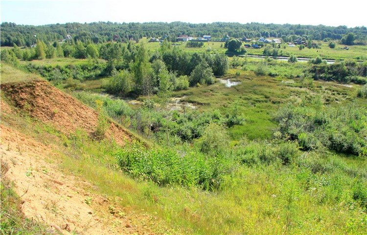 Инопланетянка Нийя. Custom Blythe Doll UFO Go Go Takara