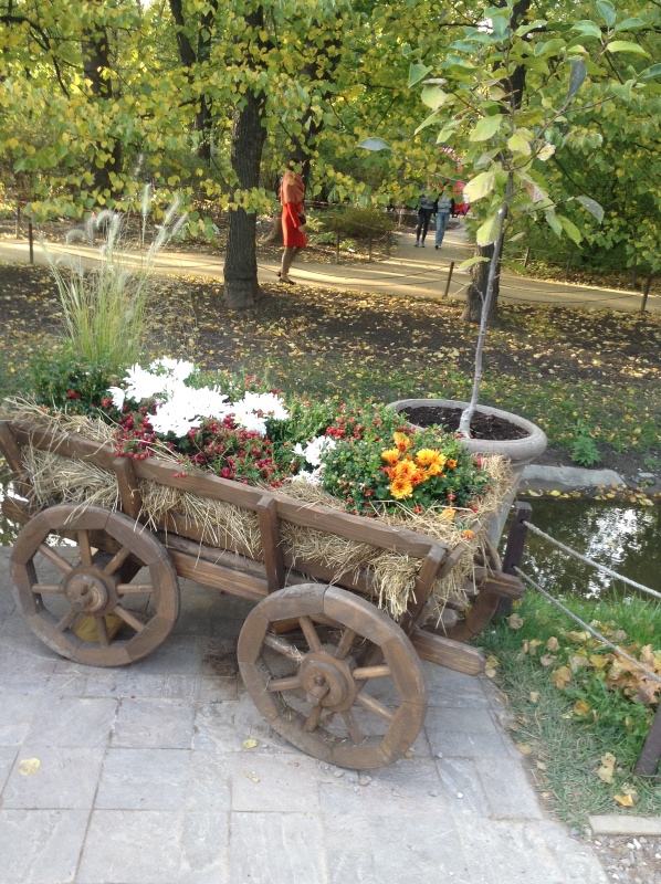 Аптекарский огород сегодня. ч.5. Грибной фестиваль (фото 6)