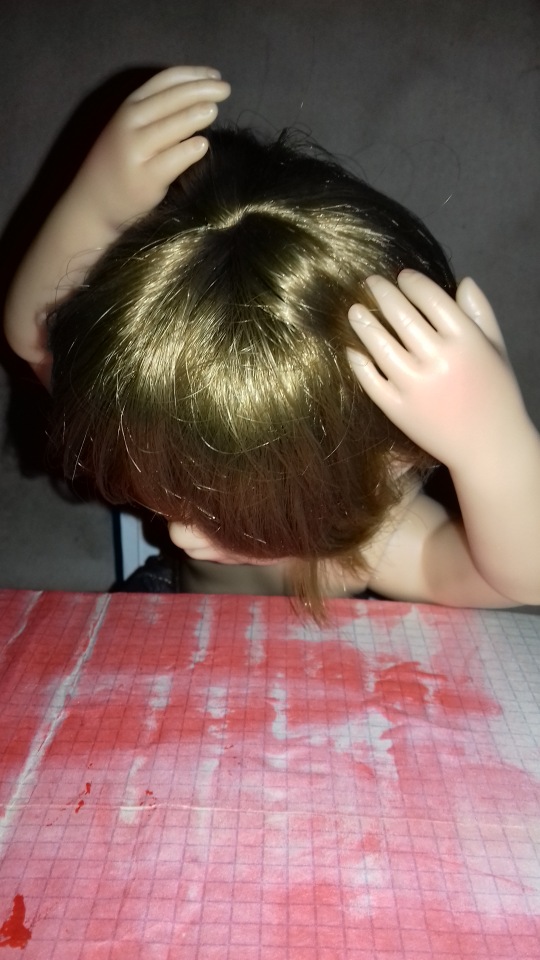 Сельская Санта-Барбара (Качан) (фото 8)