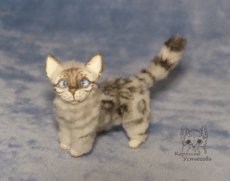 Бенгальская кошка, серебристая (фото 3)