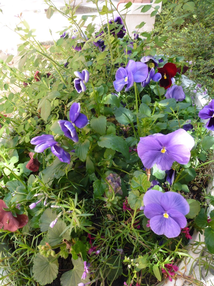 Сочи-Адлер: Южное Взморье - Мои любимые куколки на отдыхе