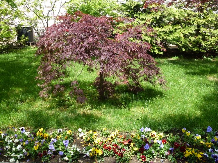 Сочи-Адлер: Южное Взморье - виртуальное путешествие по территории санатория