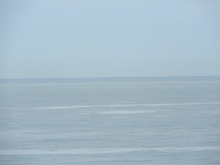 Сочи-Адлер: Южное Взморье - Красоты Черного Моря (фото 5)