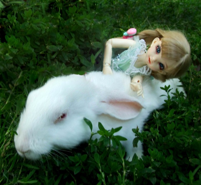 Кролики превращаются... превращаются... А котик улыбается) (фото 10)
