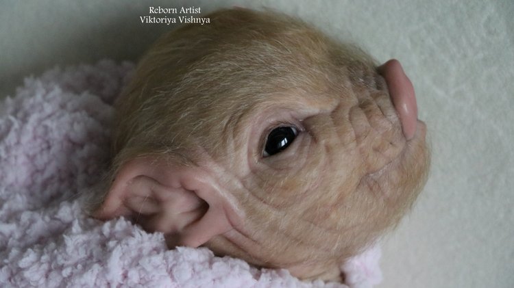 Поросенок Мила... куколка реборн Виктории Вишни