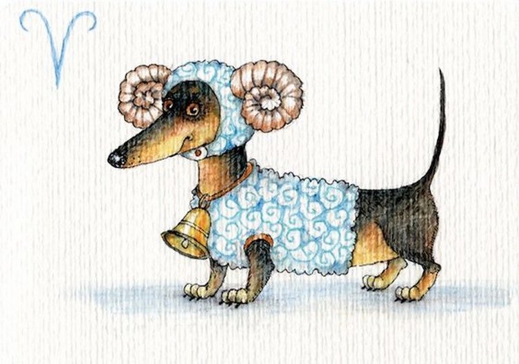 Предновогодние денёчки! Улыбнёмся вместе! Смешные таксы Инги smG