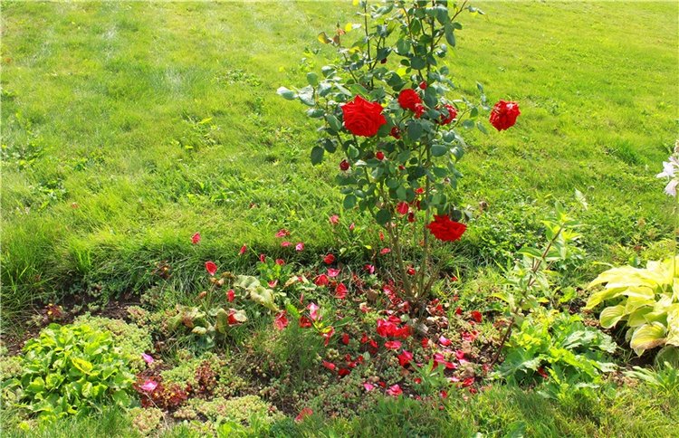 Сентябрьское путешествие в Старицу. Старицкий Свято-Успенский Монастырь