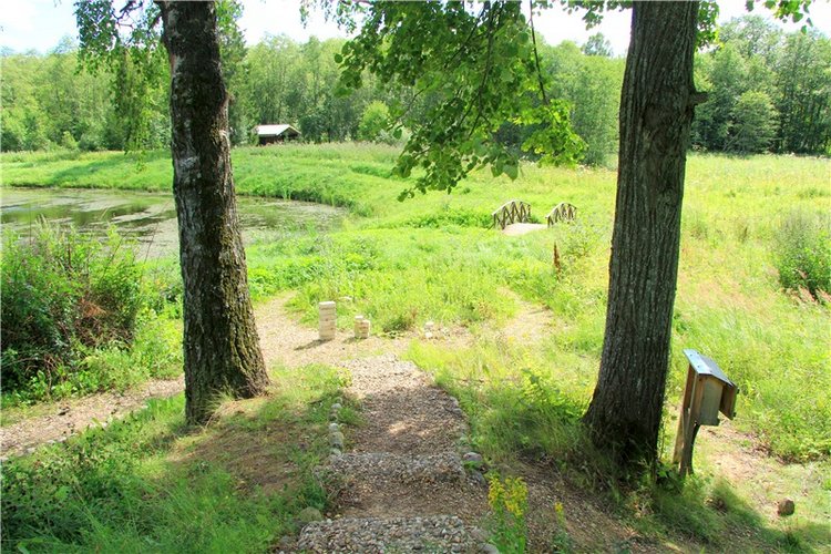 Принцессы в Райке — Куклы