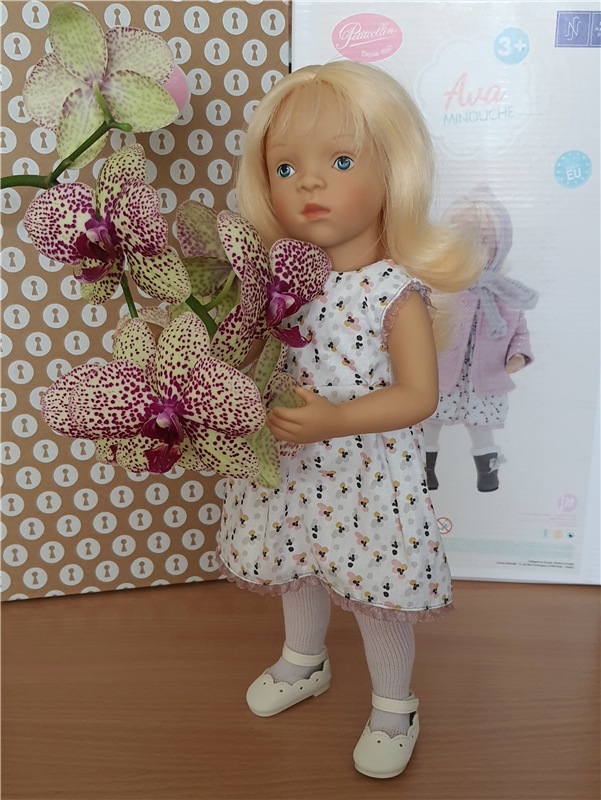 Ava. Petitcollin Minouche Ava