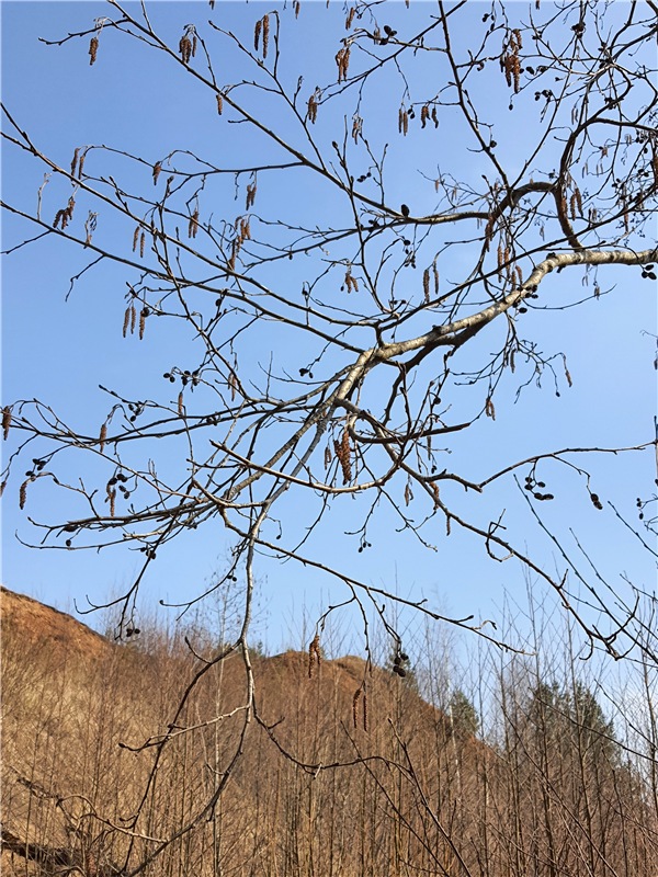 Путешествие Имани в ПанИку (фото 5)