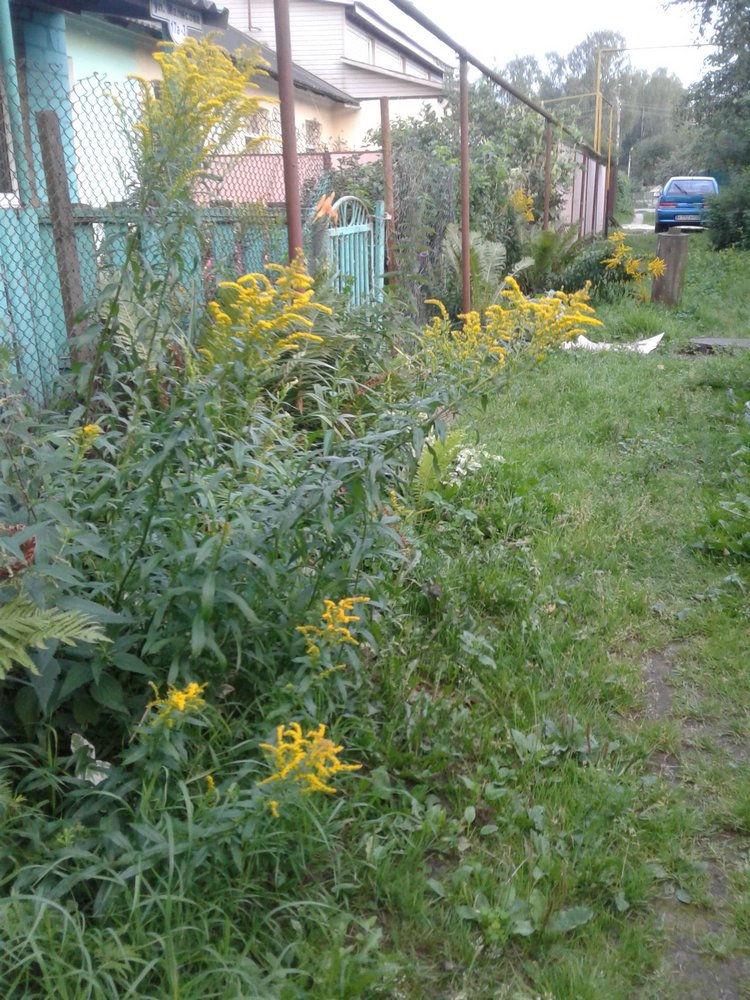 Просто Макс — Кукольные фотоистории и сериалы: комиксы (фото 4)